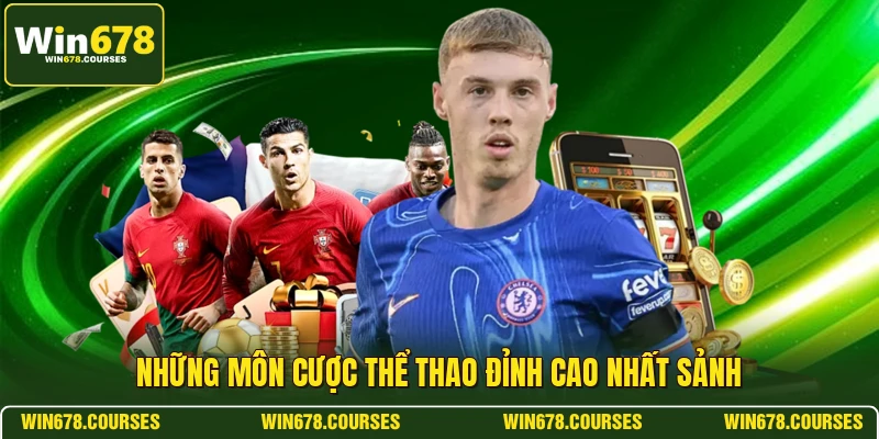 Những môn cược thể thao đỉnh cao nhất sảnh 